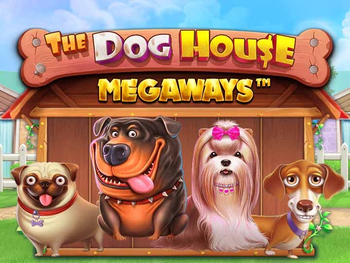 slots, The Dog House, apostas, dicas, cassino online.